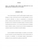 EL DERECHO COMO MARCO DE PROTECCION DE LOS DERECHOS DE LAS PERSONAS EN EL ECUADOR