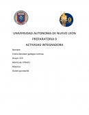 Tema- Actividad de aplicacion.