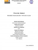 TEMA- RESUMEN VISUALIZACIÓN Y TIPOS DE FLUJOS