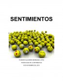 Ensayo sobre los sentimientos.