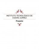 INSTITUTO TECNOLÓGICO DE CIUDAD JUÁREZ