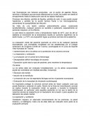 Las Quemaduras - ensayo