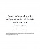 Cómo influye el medio ambiente en la calidad de vida. México