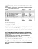 Chile y sus regiones.