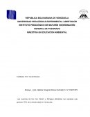 ENSAYO SOBRE EL BOSQUE SILENCIOSO.