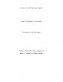 UNIÓN ECONÓMICA Y MONETARIA DEL EURO.