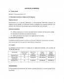 Actividad Económica u Objetivo de la Empresa