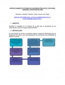 APROVECHAMIENTO DE RESIDUOS AGROINDUSTRIALES DE CASCARAS, CORAZÓN y CAPACHOS DE PIÑA.