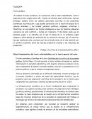 Comentario de texto.