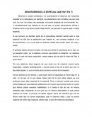 Ensayo descubriendo lo especial que hay en ti