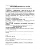 DIVERSAS FORMAS DE ORGANIZACIÓN COLECTIVA.