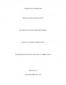 ENSAYO CONSENSO DE WASHINGTON