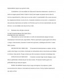 Oportunidad de negocio que generó idea.