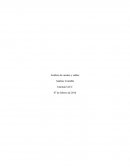 Analisis de cuentas y saldos.