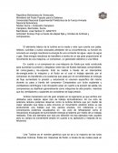 Flujo a Través de Tapas Fijas y Móviles de Turbinas y Compresores.
