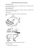 La observación concreta es aquella en la que podemos estar en presencia del objeto, hecho o situación de interés