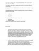 Qué aspectos como símbolos o indicadores seleccionarías de esa cultura para analizarla y describirla mejor?.