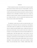 Caracteristicas basicas del adolescente.