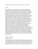 Traducción de un articulo.