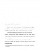 Ciudad contemporánea: Diseño y configuración