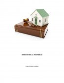 DERECHO DE LA PROPIEDAD.