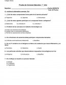 Prueba de Ciencias Naturales 7 ° Año