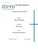 ANTECEDENTES DEL JUICIO DE AMPARO.DERECHO DE AMPARO