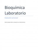 Análisis de Ingesta Calórica y comparación con el Ideal Nutricional..