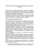 México: Impactos del Procede en los conflictos agrarios y la concentración de la tierra.