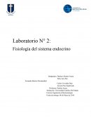 Laboratorio N° 2: Fisiología del sistema endocrino