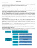 RESUMEN EJECUTIVO MERCADO CAMBIARIO