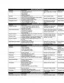 Un Resumen de musculos del cuello.