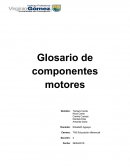 Trabajos de educacion diferencial.