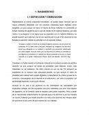 Diagnóstico. DETECCIÓN Y DERIVACIÓN.