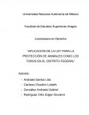 Aplicación de la ley para la protección de animales como los toros en el distrito federal