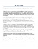 Introducciion informe de diseccion del encefefalo