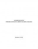 PROBLEMAS AUDITIVOS EN EL AMBIENTE DEL BARRIO LAS MALVINAS