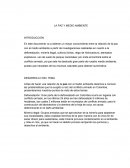 LA PAZ Y MEDIO AMBIENTE.