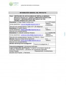 OBTENCIÓN DE ANTOCIANINAS DE REPOLLO MORADO (Brassica oleracea var. capitata f.) MEDIANTE EXTRACCIÓN SOXHLET Y SEPARACIÓN DE METABOLITOS POR CROMATOGRAFÍA DE CAPA FINA