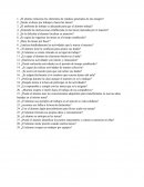 Cuestionario. ¿El alumno relaciona los elementos de estudios generados de una imagen?