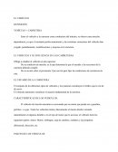 VEHÍCULO – CARRETERA