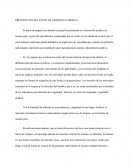 PRECEDENTES DEL JUICIO DE AMPARO EN MEXICO.