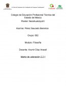 Matriz de valoración 2.2.1