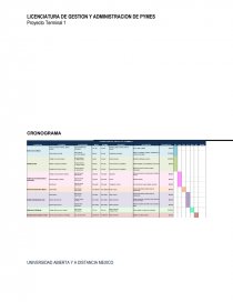 PROYECTO TERMINAL. ANÁLISIS DEL DIRECCIONAMIENTO ESTRATÉGICO. Página 19