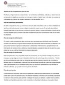 Análisis de las competencias para la vida