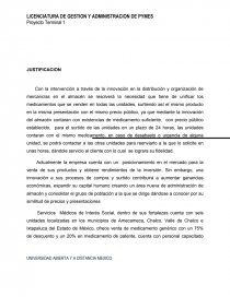PROYECTO TERMINAL. ANÁLISIS DEL DIRECCIONAMIENTO ESTRATÉGICO. Página 13