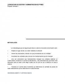 PROYECTO TERMINAL. ANÁLISIS DEL DIRECCIONAMIENTO ESTRATÉGICO. Página 21