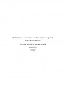 Identificación de los contaminantes y sus efectos en el sistema respiratorio.