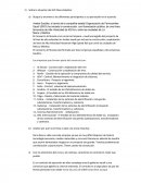 Situación AVE meca medina.