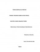 Fases del juicio oral resumen